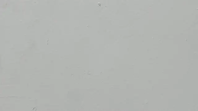 ariloe quintero online show from 11, 4, 2026