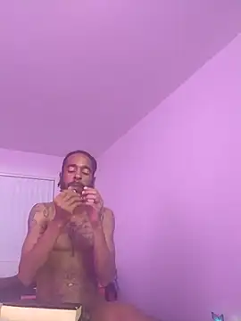 AverageAnt  online show from 3, 3, 2026