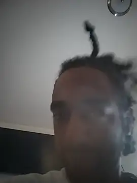 AverageAnt  online show from 7, 3, 2026