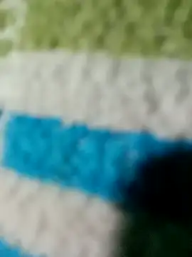 tamilansinsforu online show from 14, 2, 2026