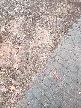 musa27272 online show from 1, 2, 2026