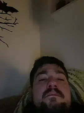 LienalWarplane online show from 20, 2, 2026