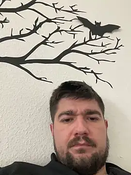 LienalWarplane online show from 15, 2, 2026