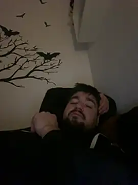 LienalWarplane online show from 26, 2, 2026