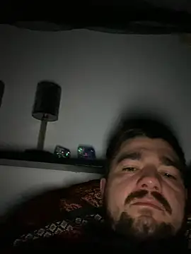 LienalWarplane online show from 11, 2, 2026