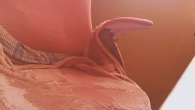 Michaelo666 online show from 11, 2, 2026