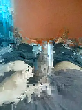 jhonysinc21 online show from 1, 5, 2026