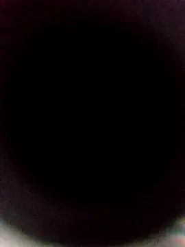 sexback11 online show from 14, 1, 2026