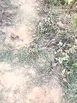 Sheela Sex90 online show from 15, 4, 2026