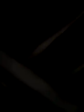 laramacedo2026 online show from 8, 1, 2026