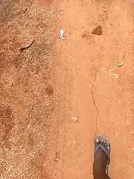 Tamilpaiyan07 online show from 16, 2, 2026