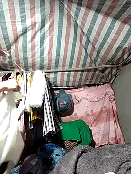 Lucky cutee online show from 17, 1, 2026