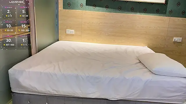 SL-99 online show from 13, 1, 2026