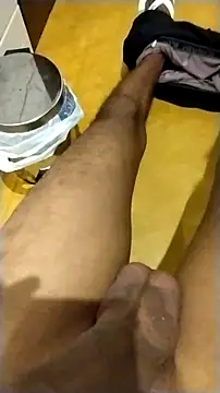 Novinhoie online show from 1, 2, 2026