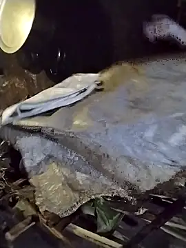 galaxy898 online show from 27, 2, 2026