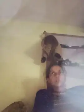 Karishma singh online show from 24, 2, 2026