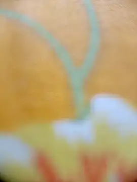 Hooghlypinkivabi online show from 20, 2, 2026