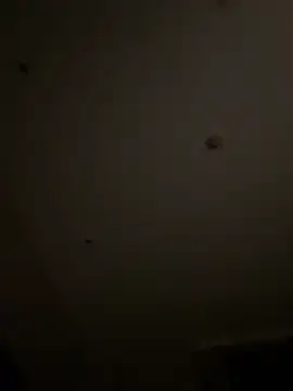 Qidandan778 online show from 9, 3, 2026