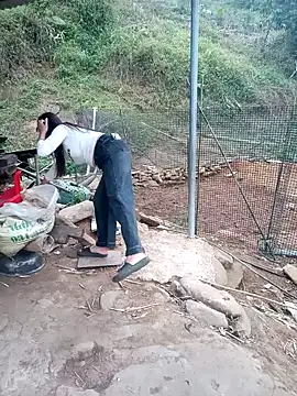 congchua977 online show from 5, 3, 2026