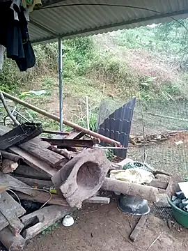 congchua977 online show from 18, 3, 2026