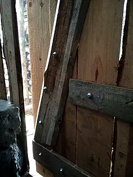 congchua977 online show from 8, 3, 2026