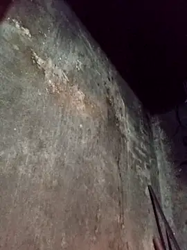 dakota-kis online show from 2, 4, 2026