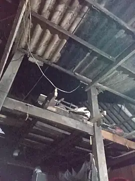 dakota-kis online show from 30, 3, 2026