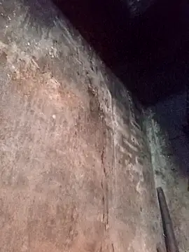 dakota-kis online show from 7, 2, 2026