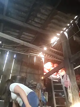 dakota-kis online show from 19, 3, 2026