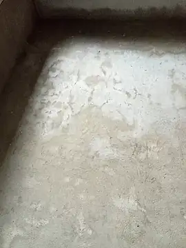 dakota-kis online show from 4, 2, 2026