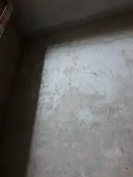 dakota-kis online show from 11, 4, 2026