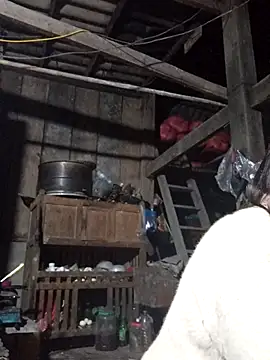 dakota-kis online show from 17, 1, 2026