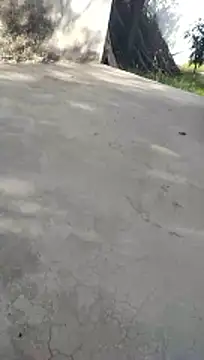 hornycouple20000 online show from 22, 4, 2026