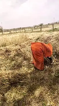 hornycouple20000 online show from 19, 3, 2026