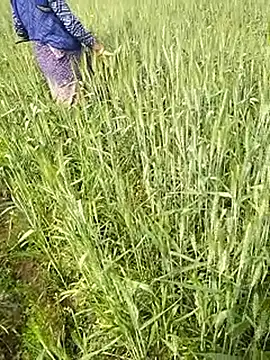 hornycouple20000 online show from 1, 2, 2026