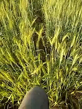 hornycouple20000 online show from 21, 2, 2026