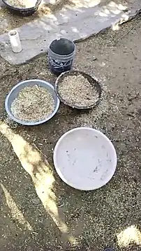 hornycouple20000 online show from 9, 4, 2026