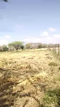 hornycouple20000 online show from 20, 3, 2026