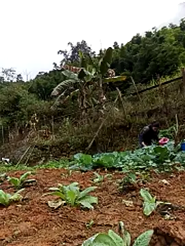 Hiniyk2 online show from 13, 2, 2026