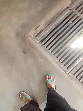 daksh  8 inche online show from 26, 2, 2026