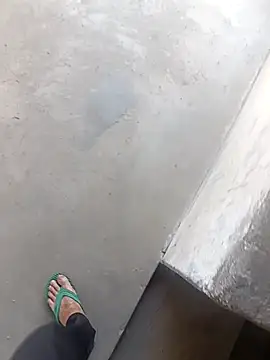 daksh  8 inche online show from 28, 2, 2026