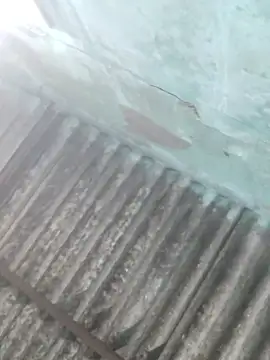 HoMann69 online show from 9, 1, 2026