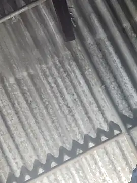 HoMann69 online show from 6, 1, 2026