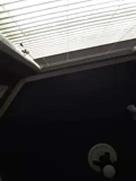 Derrick7799 online show from 21, 2, 2026