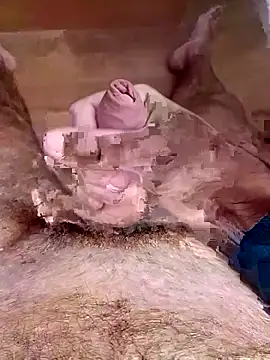 jellwet online show from 13, 2, 2026