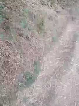 sexyboy 917 online show from 30, 3, 2026