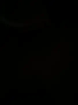 vmmalto online show from 12, 3, 2026