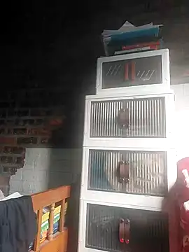 donaaa2 online show from 28, 2, 2026