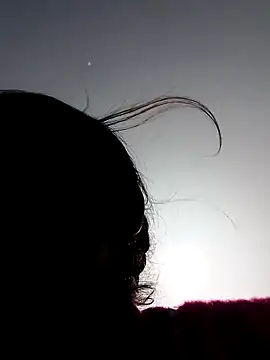 Jyoti sekh online show from 4, 2, 2026