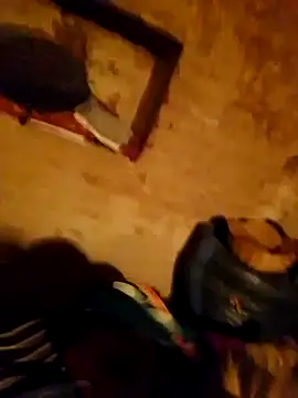 Jyoti sekh online show from 12, 2, 2026